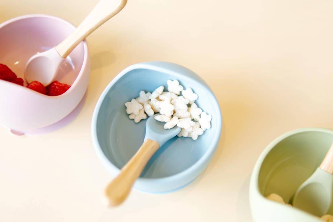 ALIMENTACIÓN COMPLEMENTARIA