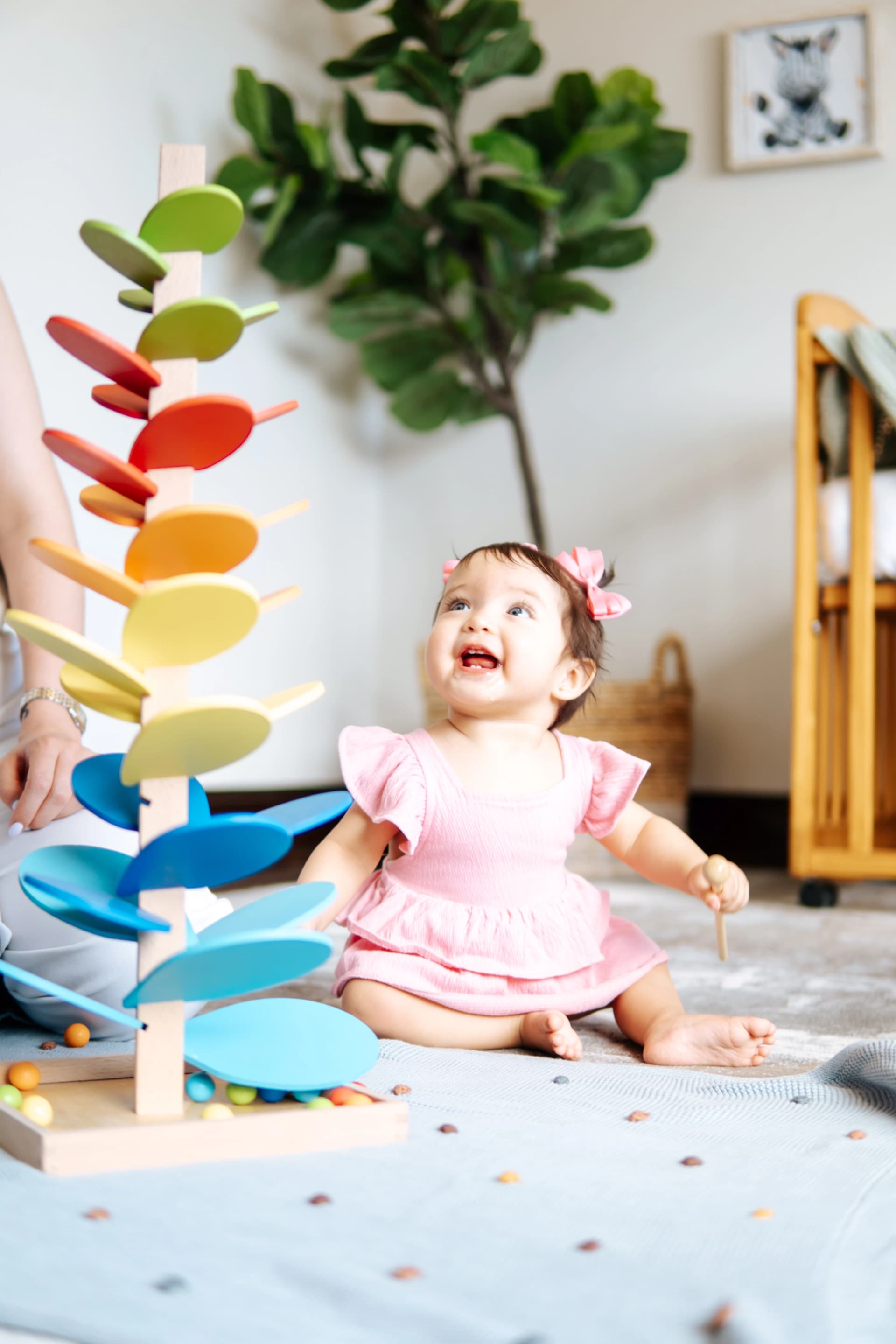 Árbol arcoíris | Musical