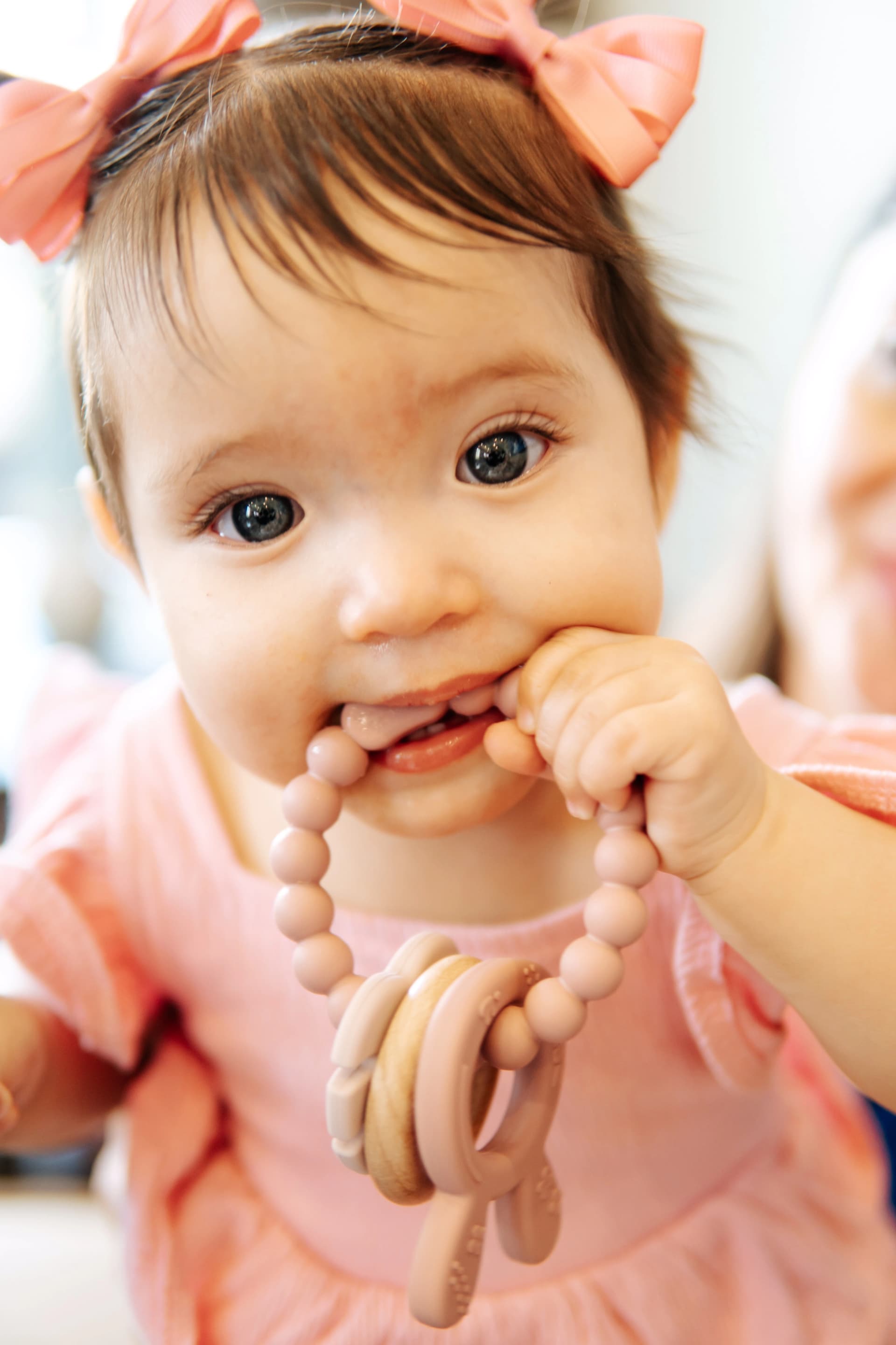 Bunny Chews Pretty Pink | Mordedera